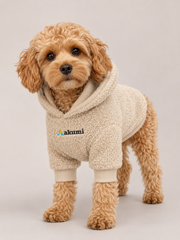 Akumi Hearthcurl Pet Hoodie in Oat Sherpa front fit with matching full embroidered chest logo