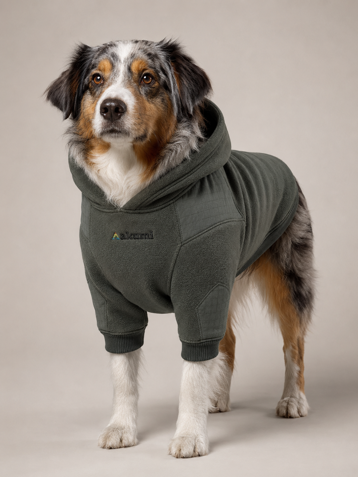Akumi Ridgepath Pet Hoodie in Pine Ash front fit with one embroidered chest logo