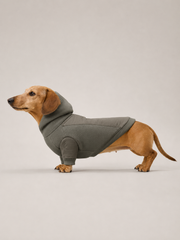 Akumi Ridgepath Pet Hoodie in Pine Ash side fit showing trail panel seams
