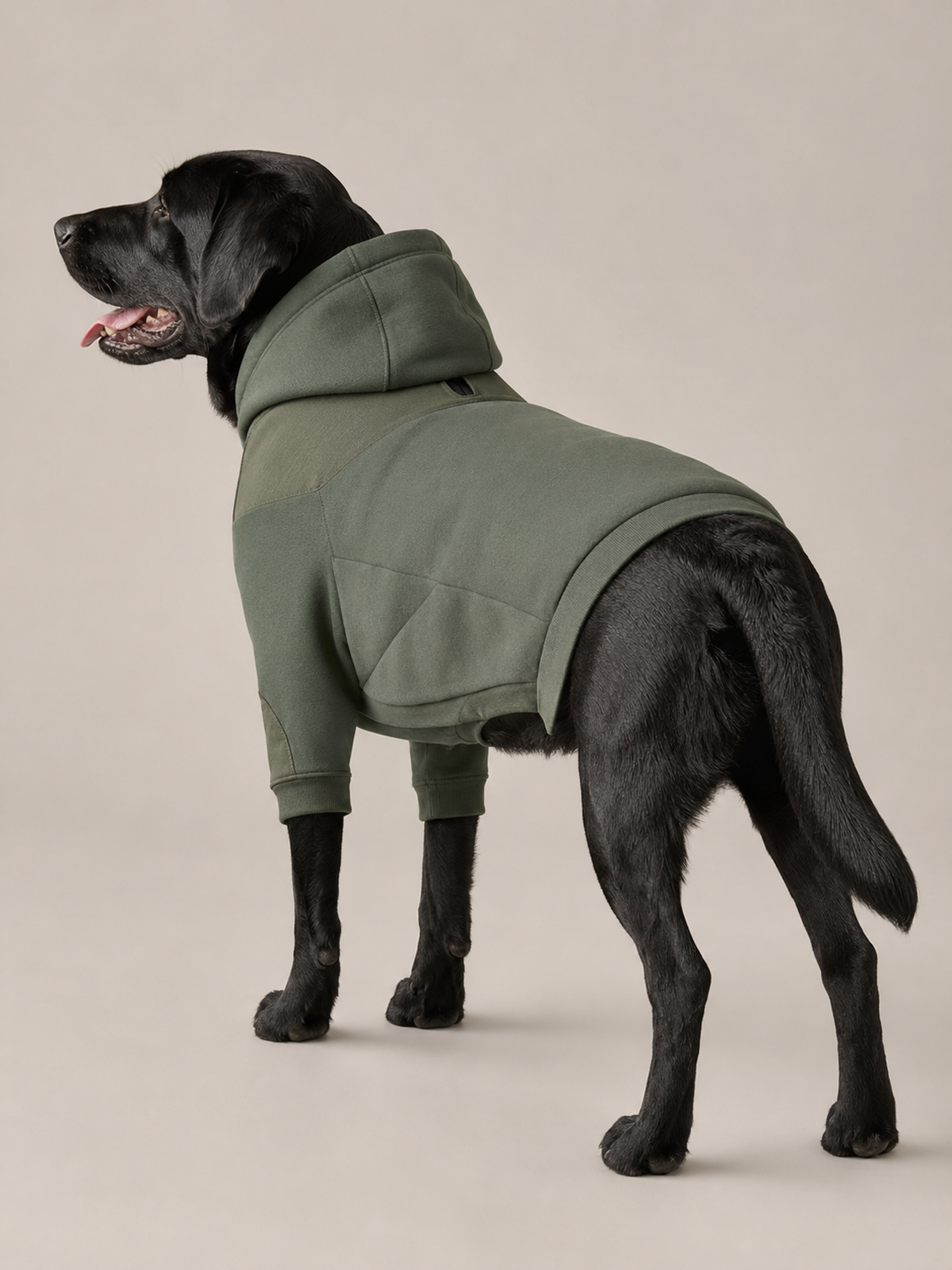 Akumi Ridgepath Pet Hoodie in Pine Ash back view with reinforced leash opening