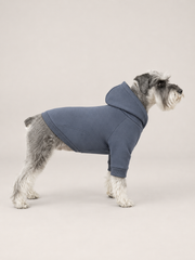 Akumi Waypoint Pet Hoodie in Harbor Slate side fit showing clean waypoint seam
