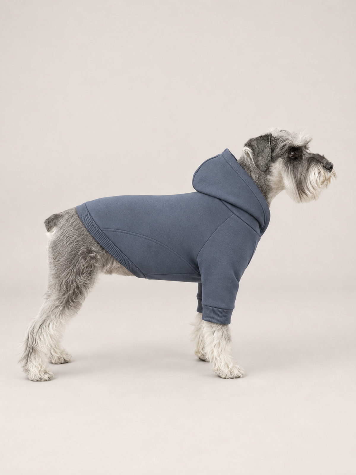 Akumi Waypoint Pet Hoodie in Harbor Slate side fit showing clean waypoint seam
