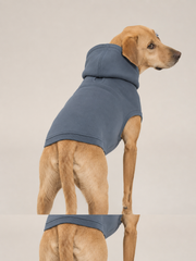 Akumi Waypoint Pet Hoodie in Harbor Slate back view with leash opening