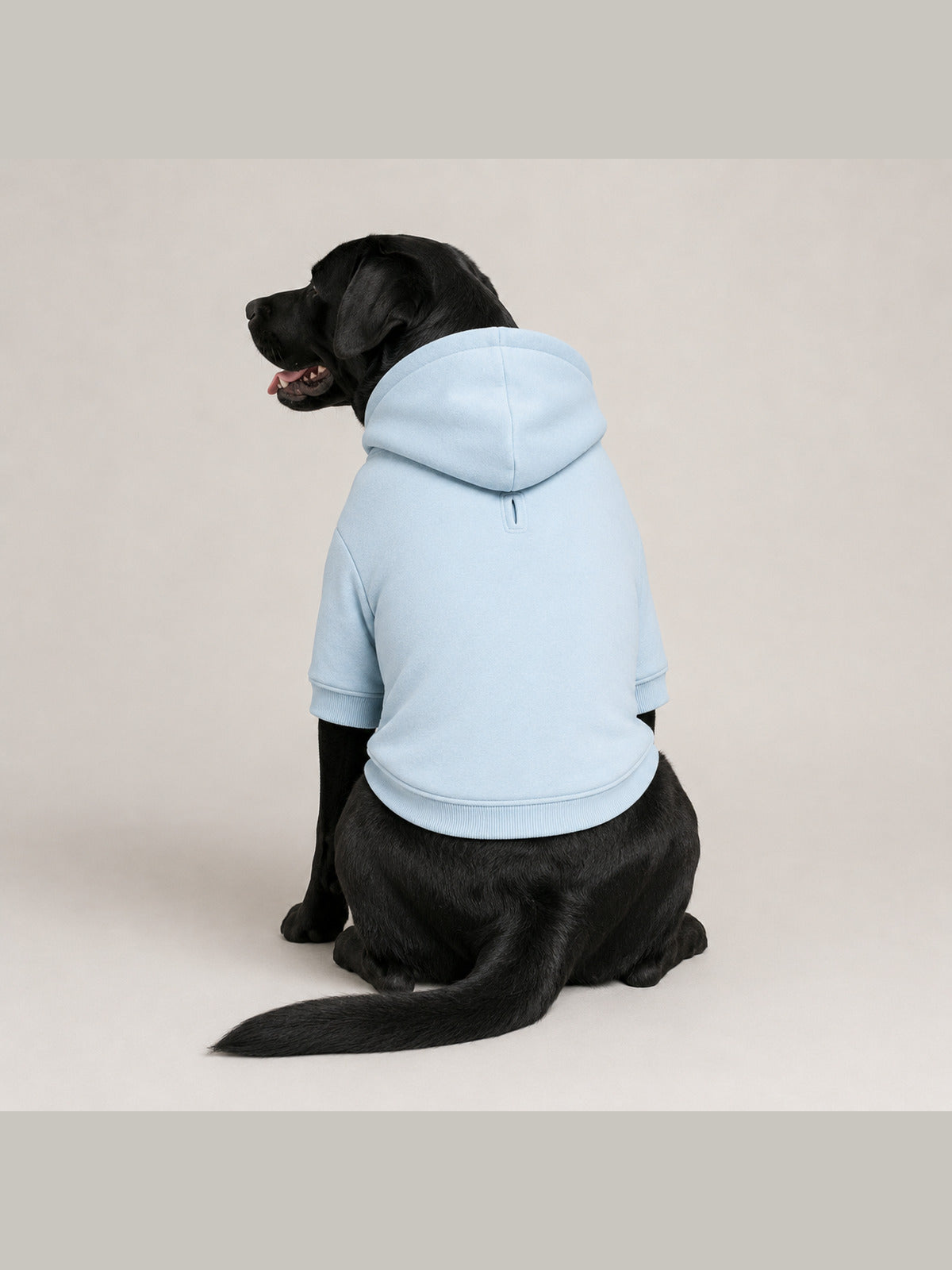 Akumi Cloudrest Pet Hoodie in Powder Sky plain back view with leash opening