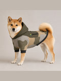 Fawn Shiba Inu wearing the Akumi Contour Pet Hoodie in Canyon Fog, front three-quarter view