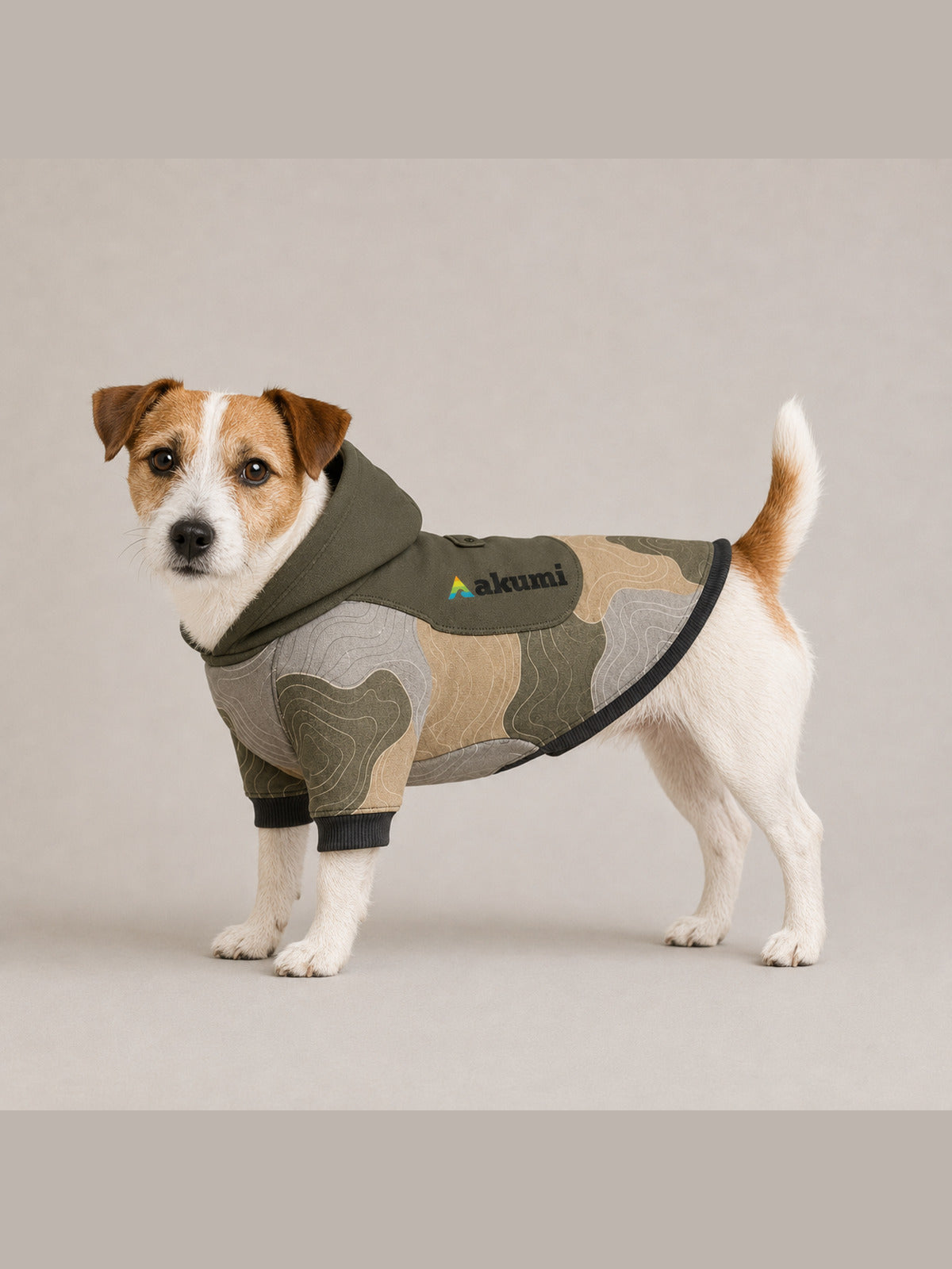 Jack Russell terrier wearing the Akumi Contour Pet Hoodie in Canyon Fog, side view