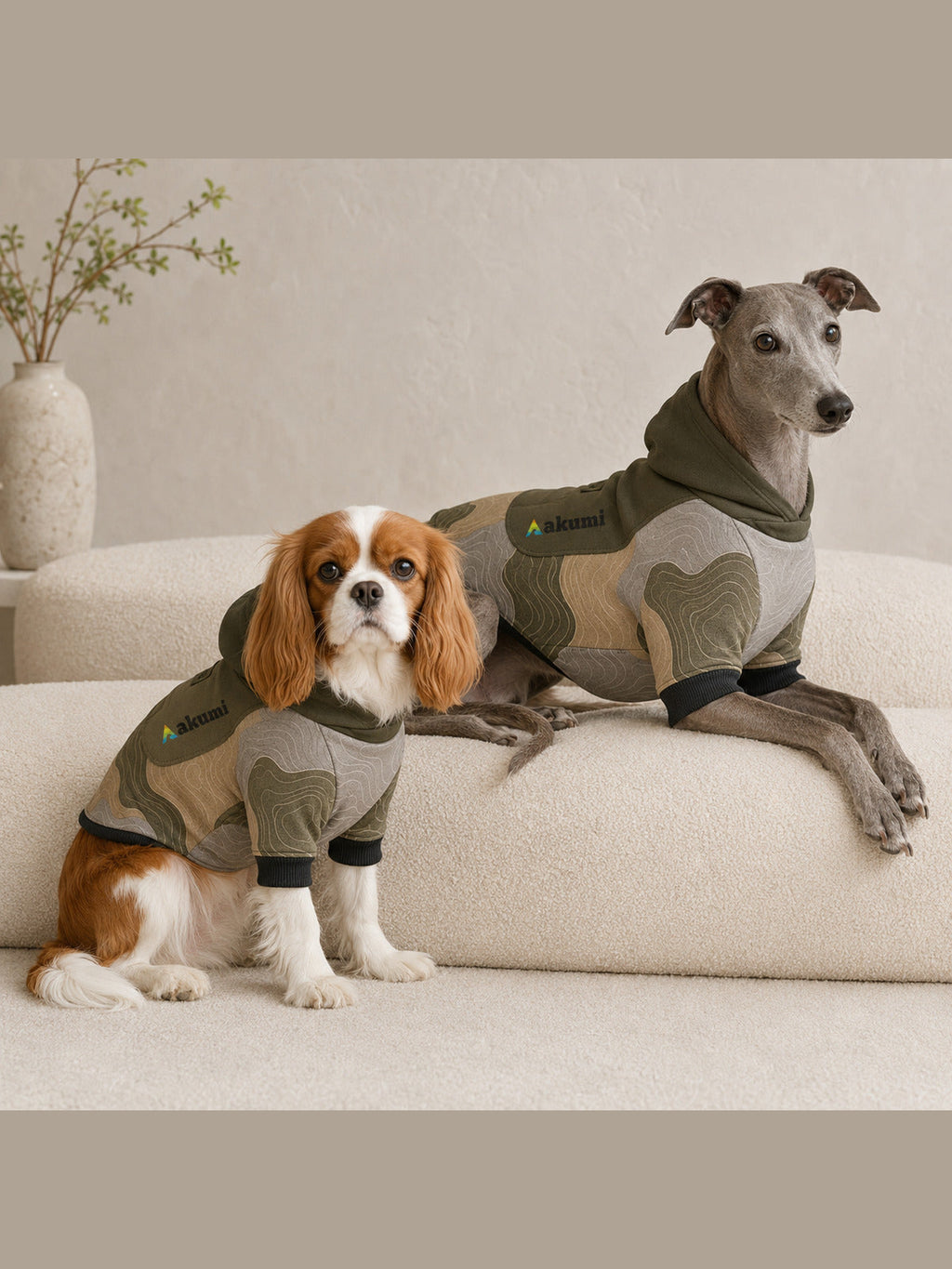 Cavalier King Charles spaniel and blue-gray whippet wearing the Akumi Contour Pet Hoodie in Canyon Fog