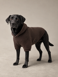 Grounded Fleece Pet Hoodie in Espresso, studio hero