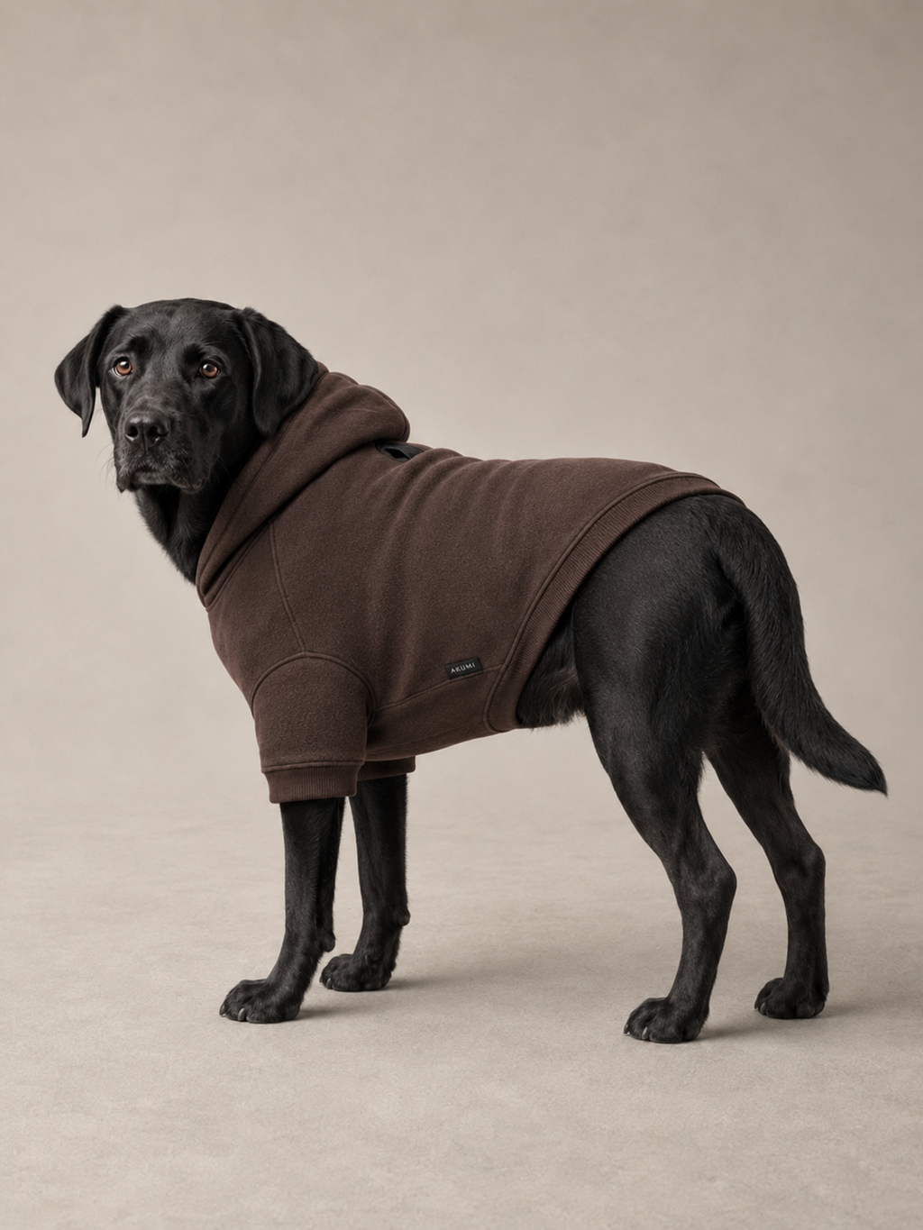 Grounded Fleece Pet Hoodie in Espresso, rear three-quarter view
