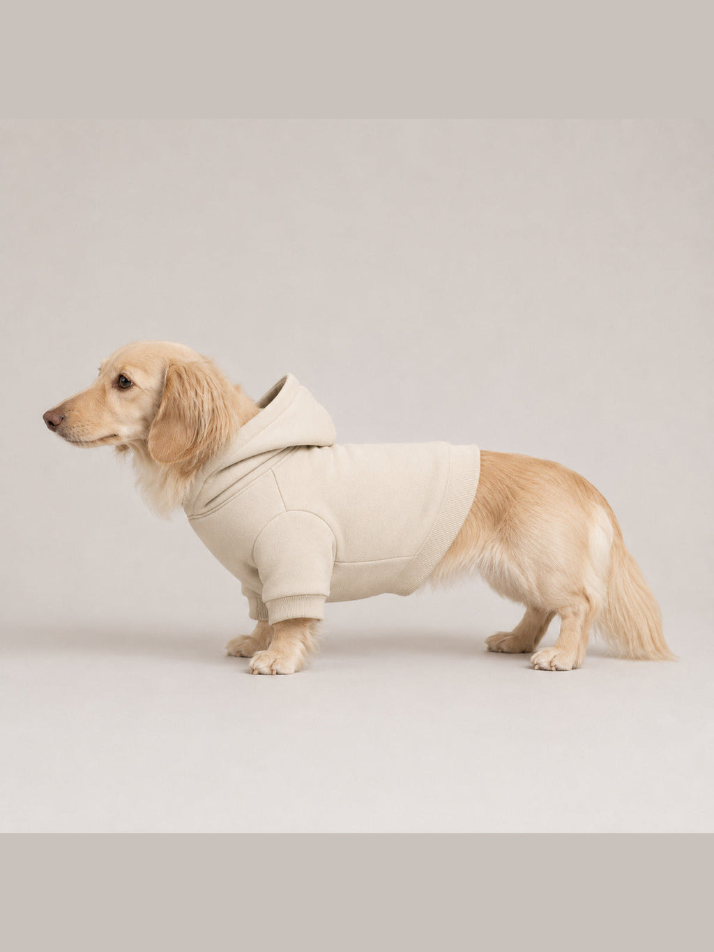 Akumi Quietline Pet Hoodie Warm Limestone corrected plain side fit on dachshund