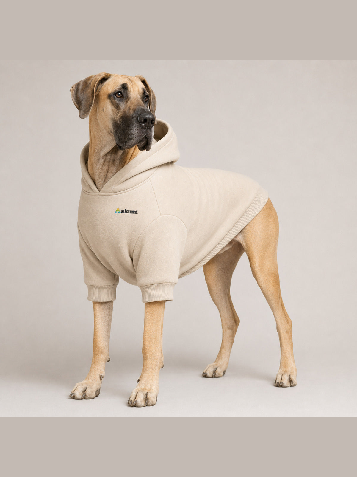 Akumi Quietline Pet Hoodie Warm Limestone corrected large size fit with embroidered chest logo