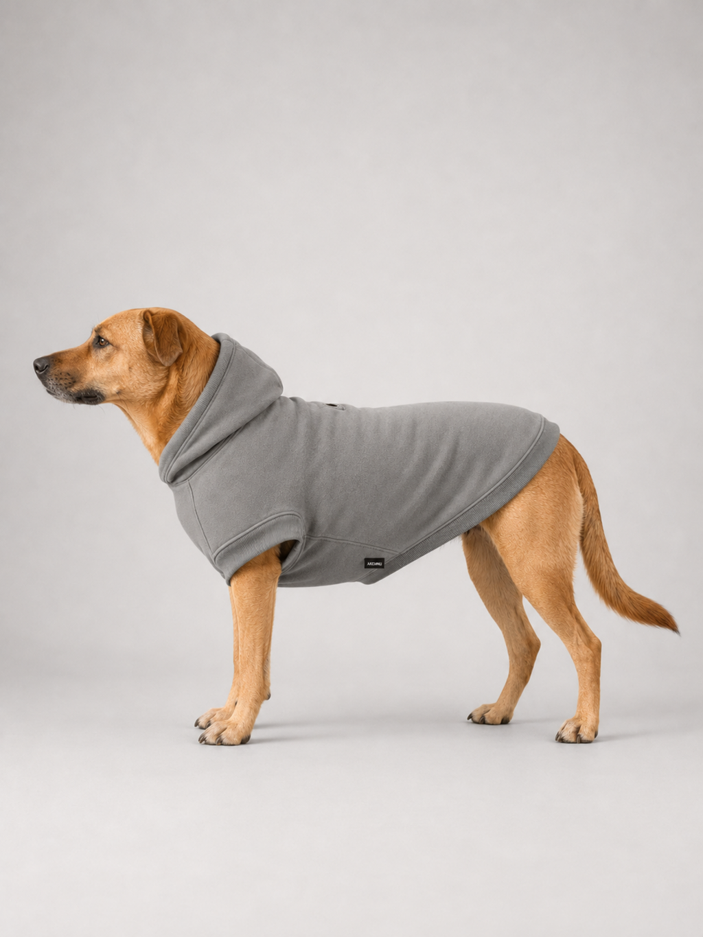 Stillform Pet Hoodie in Mineral, side profile