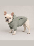 Cream French bulldog wearing the Akumi Stillpoint Pet Hoodie in Mineral Sage with the full Akumi logo