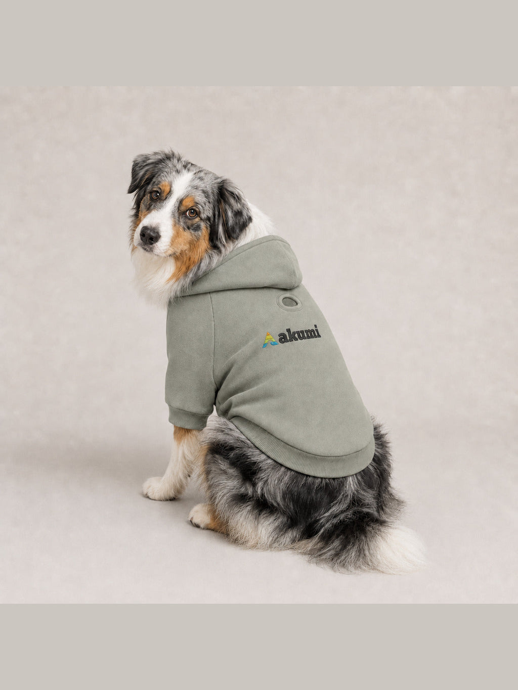 Blue merle Australian shepherd wearing the Akumi Stillpoint Pet Hoodie in Mineral Sage with the full Akumi logo