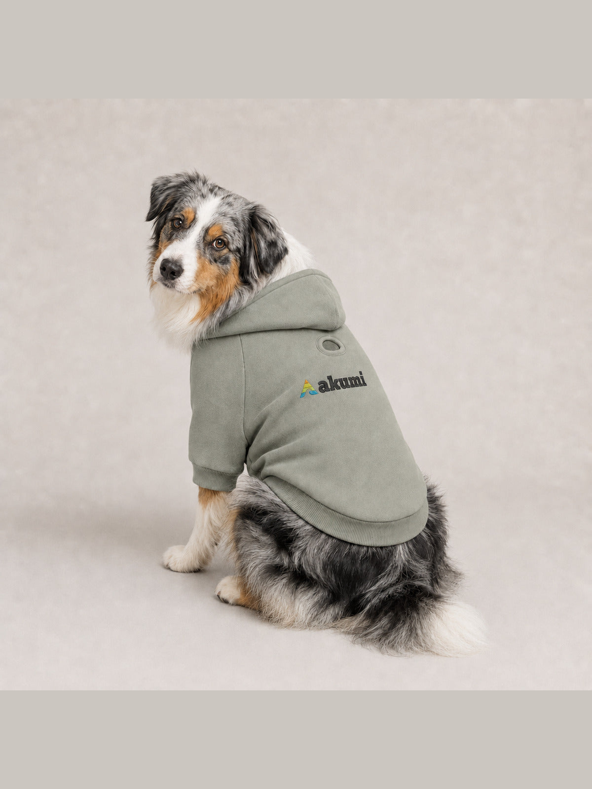 Blue merle Australian shepherd wearing the Akumi Stillpoint Pet Hoodie in Mineral Sage with the full Akumi logo