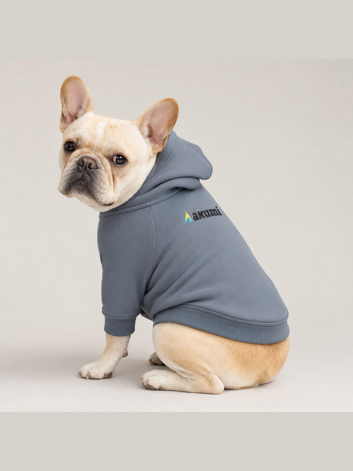 Cream French Bulldog wearing the Akumi Tidehold Pet Hoodie in Coastal Slate, front three-quarter view