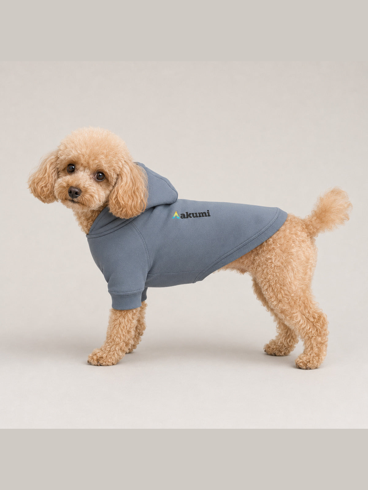Apricot toy poodle wearing the Akumi Tidehold Pet Hoodie in Coastal Slate, side view