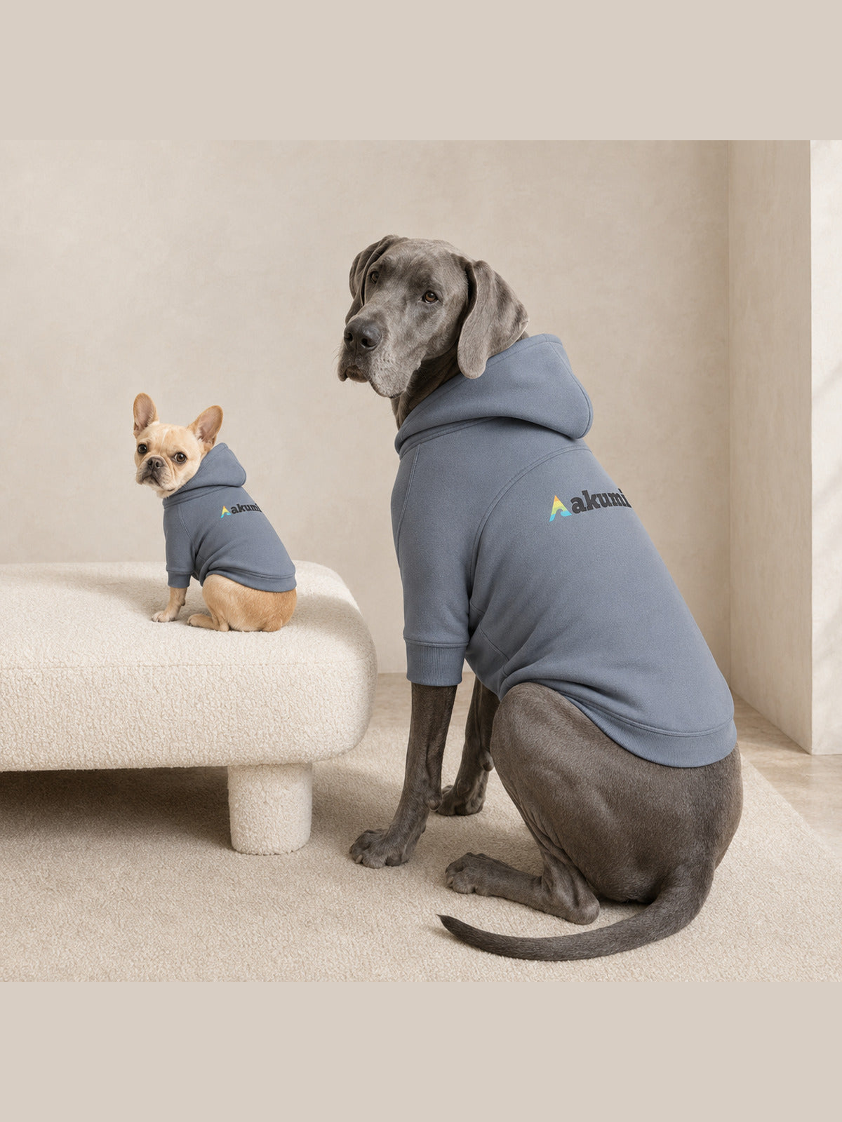 French Bulldog and Great Dane wearing the Akumi Tidehold Pet Hoodie in Coastal Slate in a neutral home